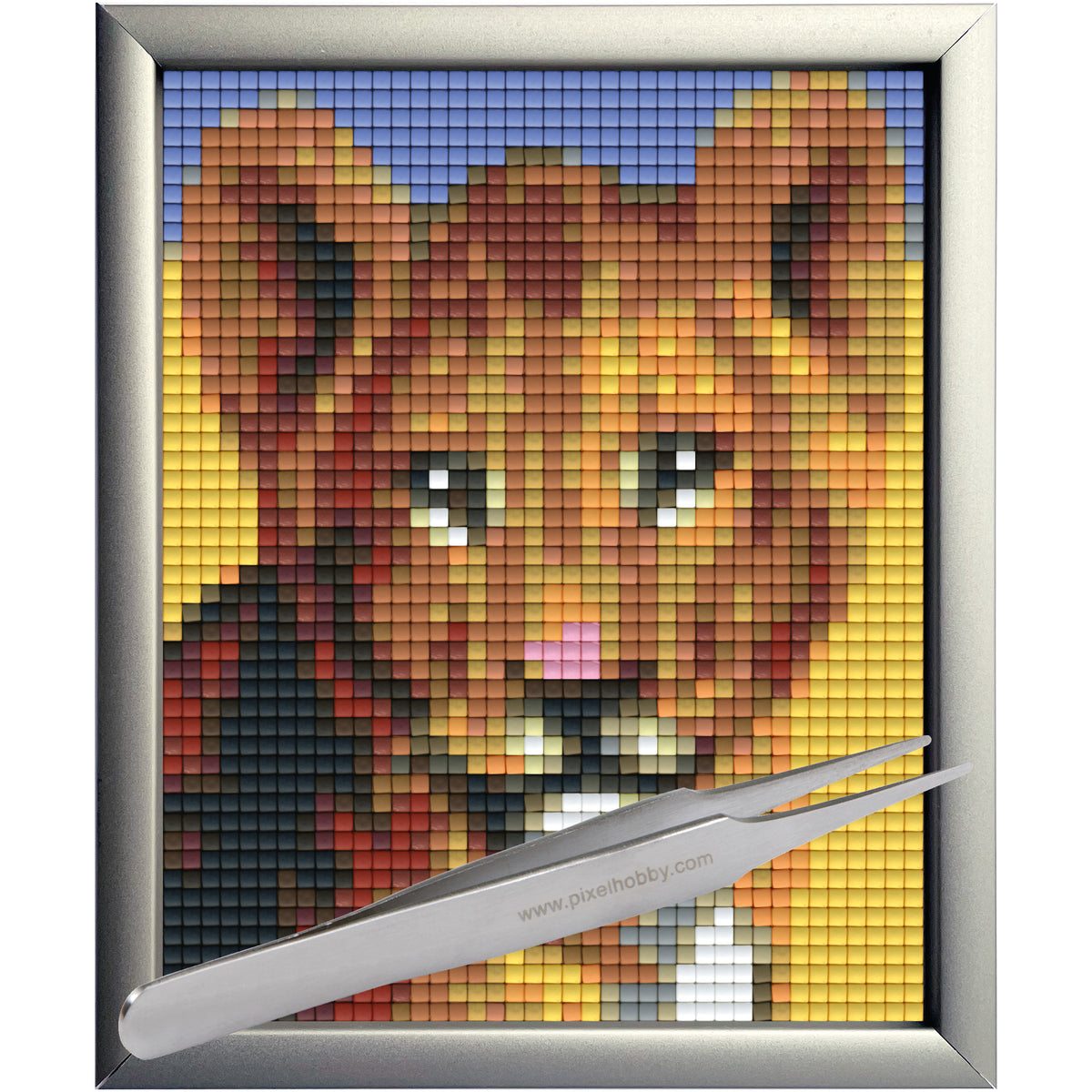 #Bilderrahmen_Aluminium silber #Pinzette_Pinzette gerade