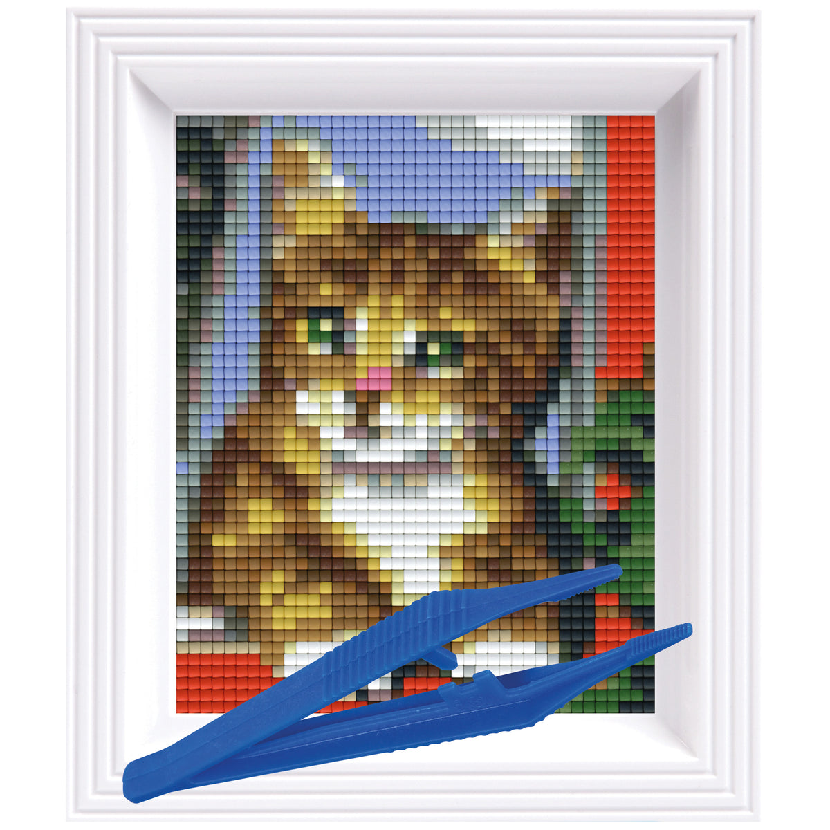 #Bilderrahmen_weiß #Pinzette_Kunststoffpinzette
