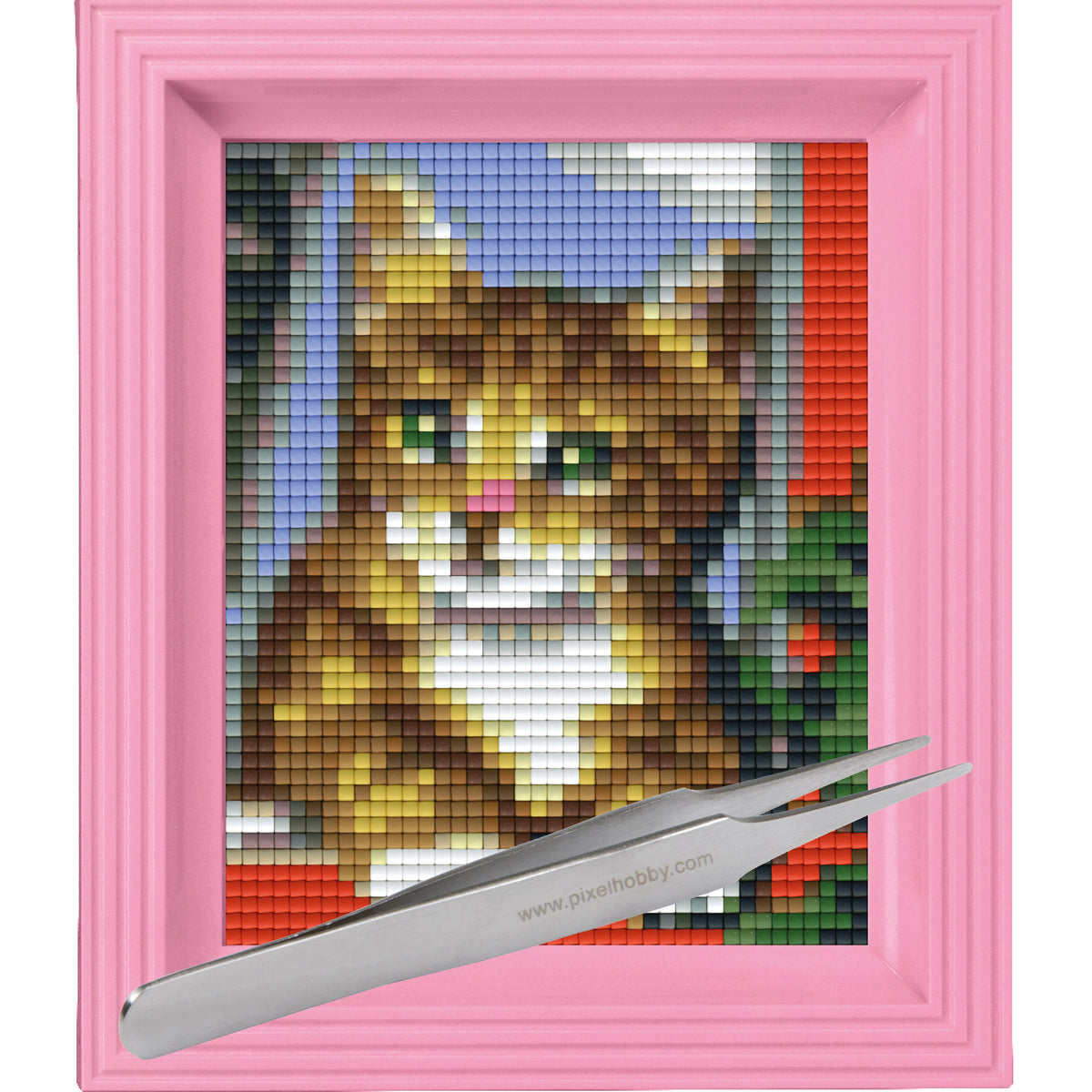 #Bilderrahmen_rosa #Pinzette_Pinzette gerade