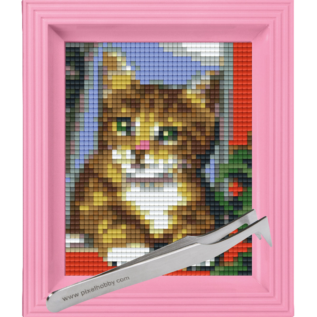 #Bilderrahmen_rosa #Pinzette_Pinzette abgewinkelt