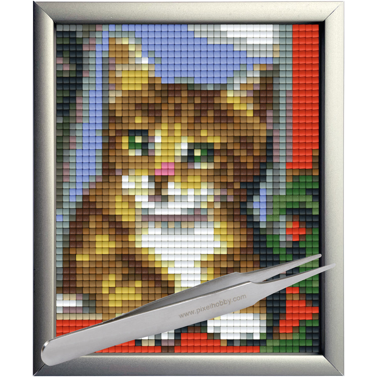 #Bilderrahmen_Aluminium silber #Pinzette_Pinzette gerade