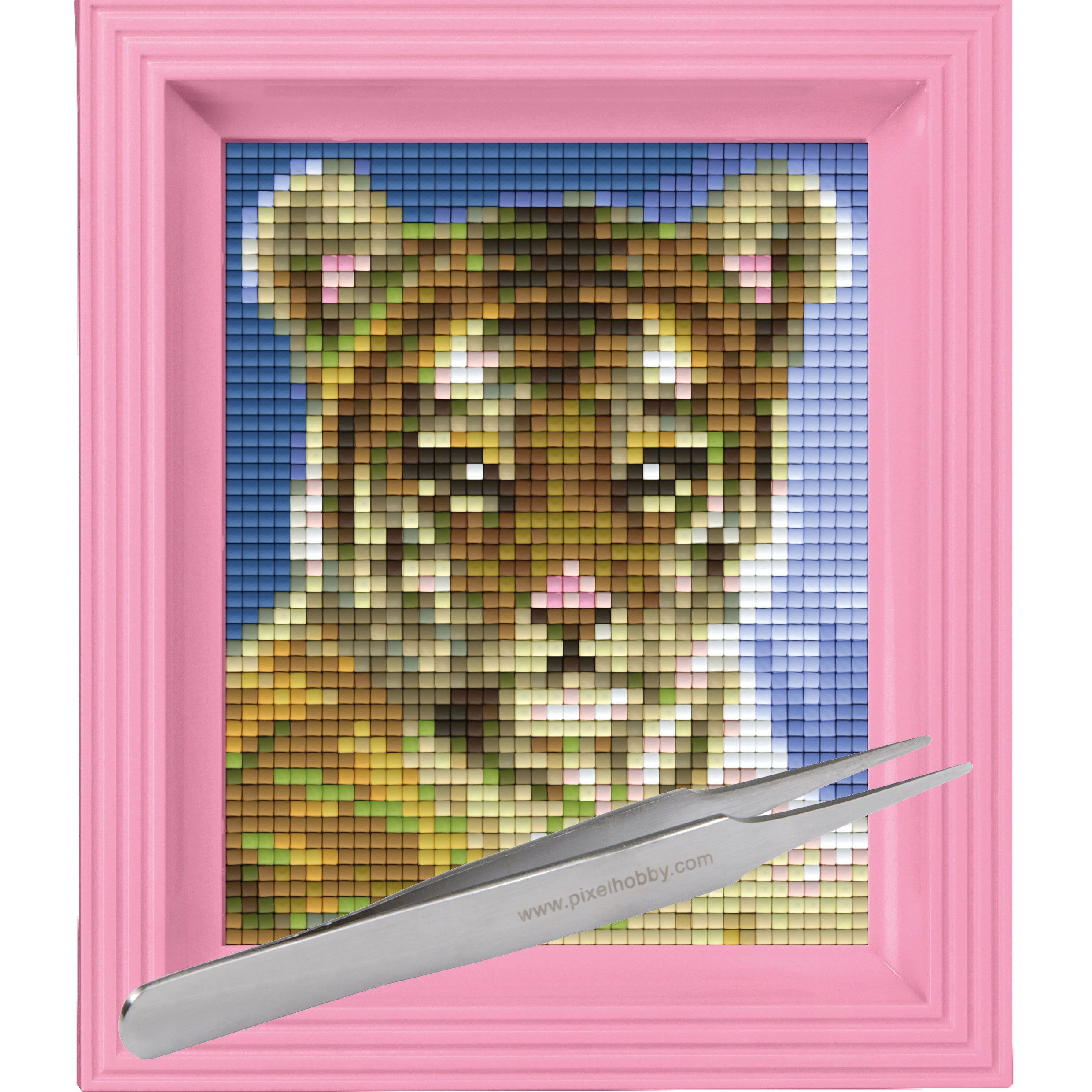 #Bilderrahmen_rosa #Pinzette_Pinzette gerade