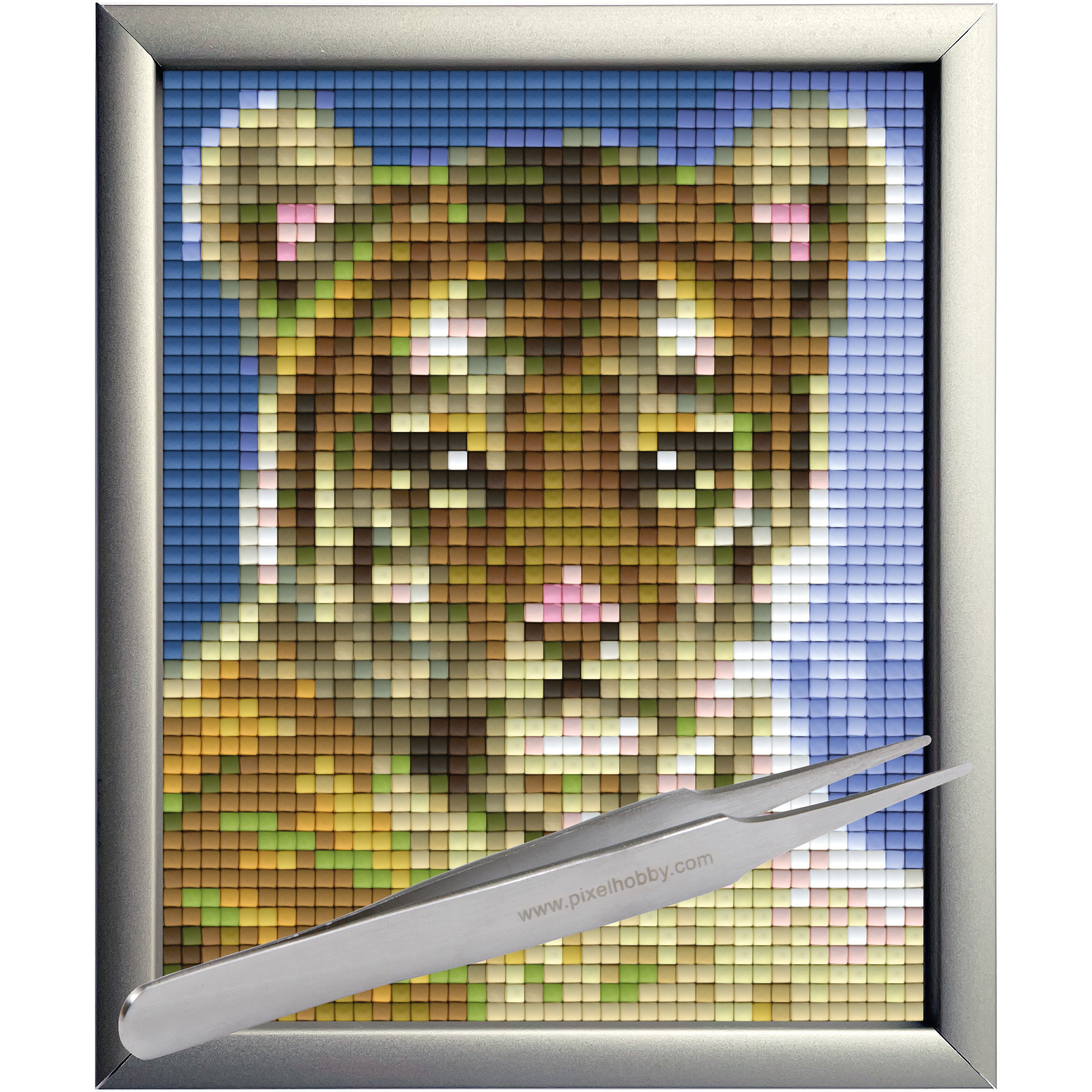 #Bilderrahmen_Aluminium silber #Pinzette_Pinzette gerade