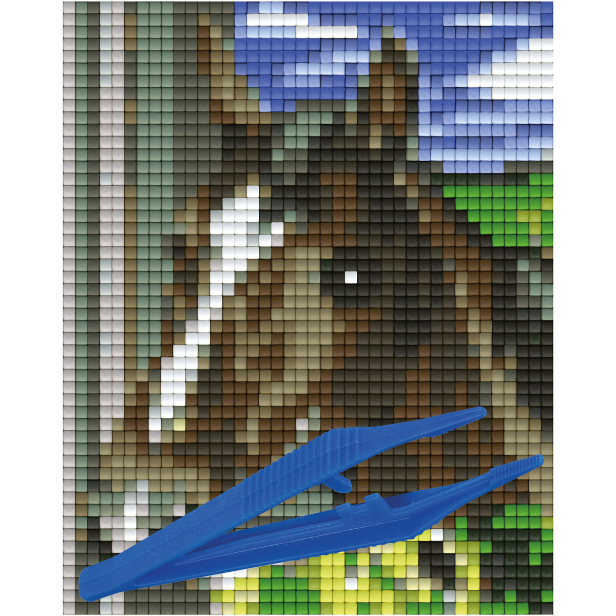 #Bilderrahmen_kein Rahmen #Pinzette_Kunststoffpinzette