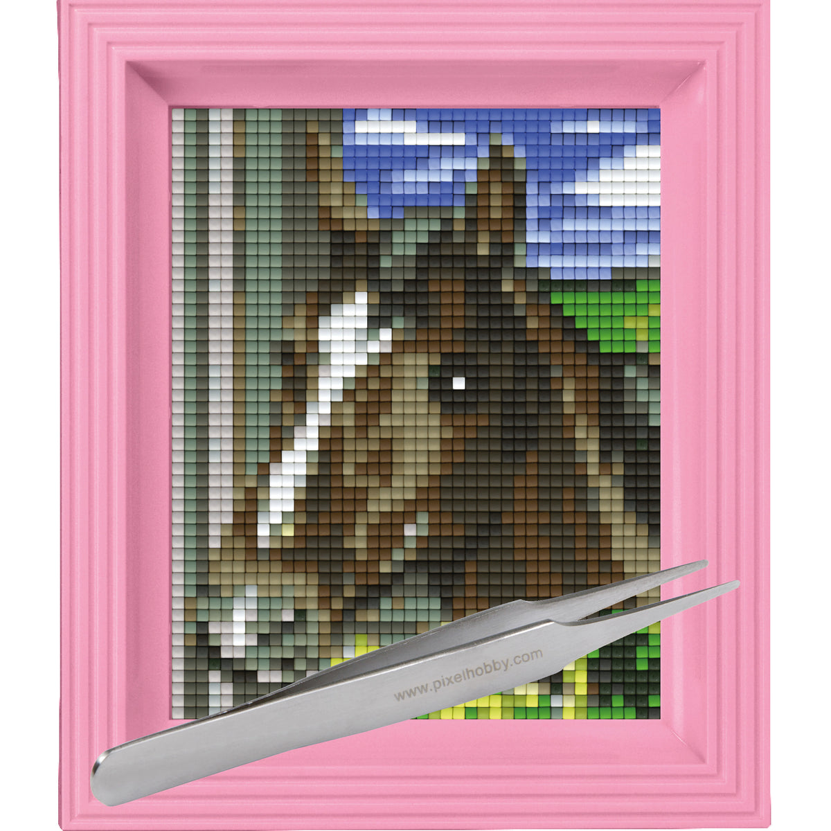 #Bilderrahmen_rosa #Pinzette_Pinzette gerade