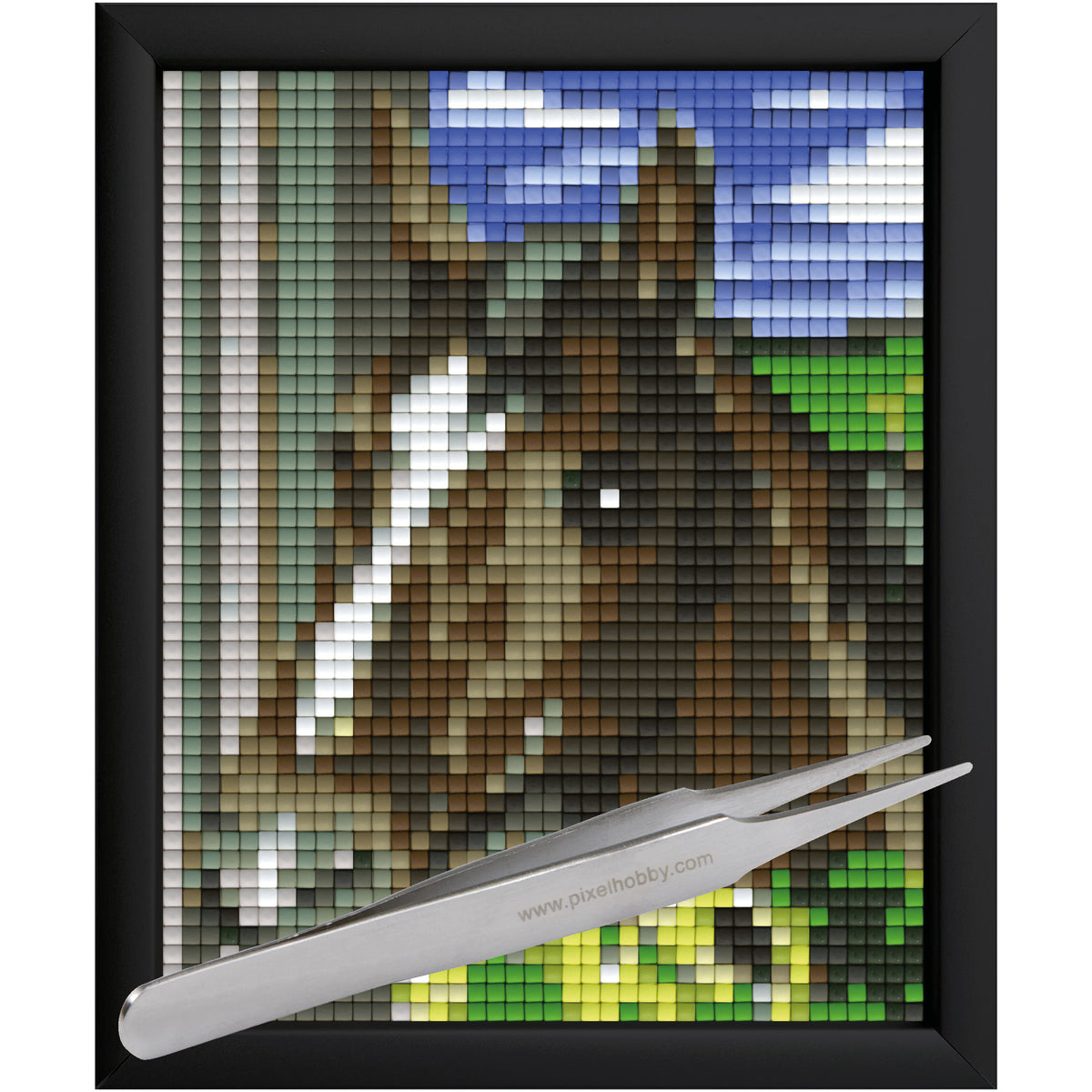 #Bilderrahmen_Aluminium schwarz #Pinzette_Pinzette gerade