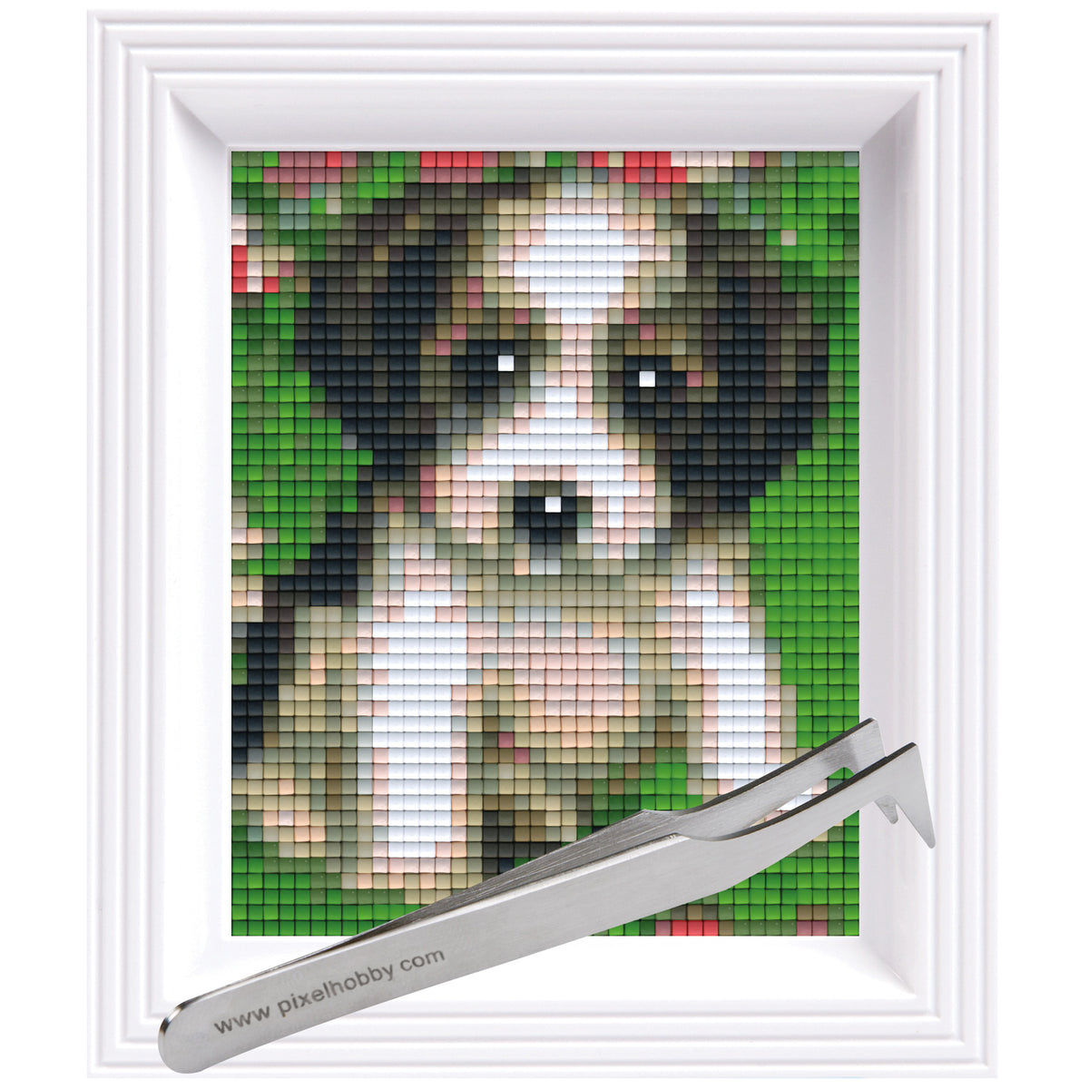 #Bilderrahmen_weiß #Pinzette_Pinzette abgewinkelt