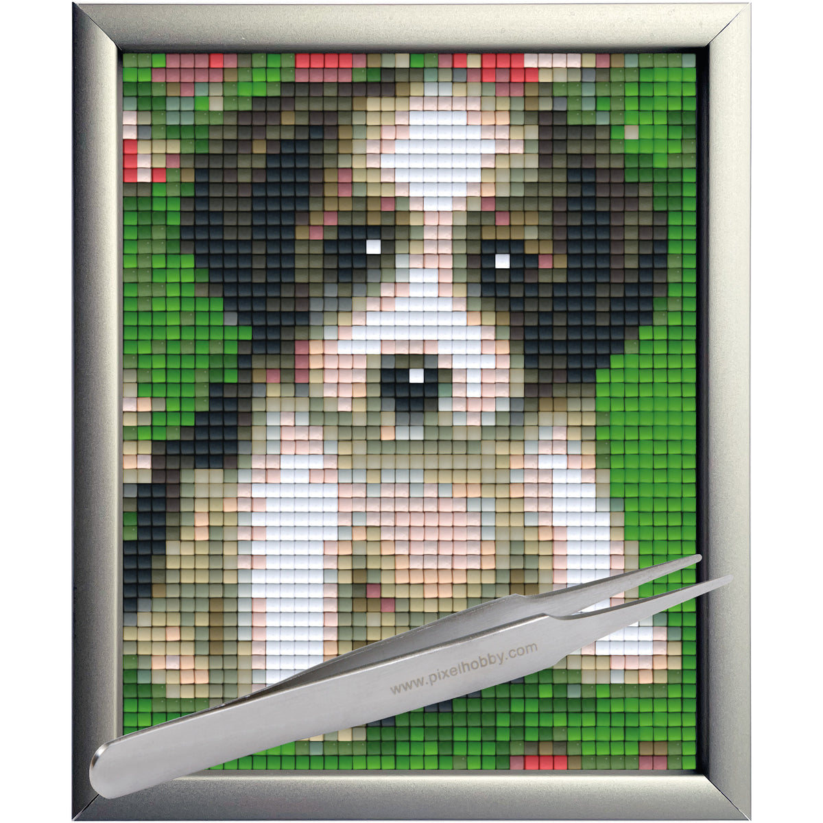 #Bilderrahmen_Aluminium silber #Pinzette_Pinzette gerade