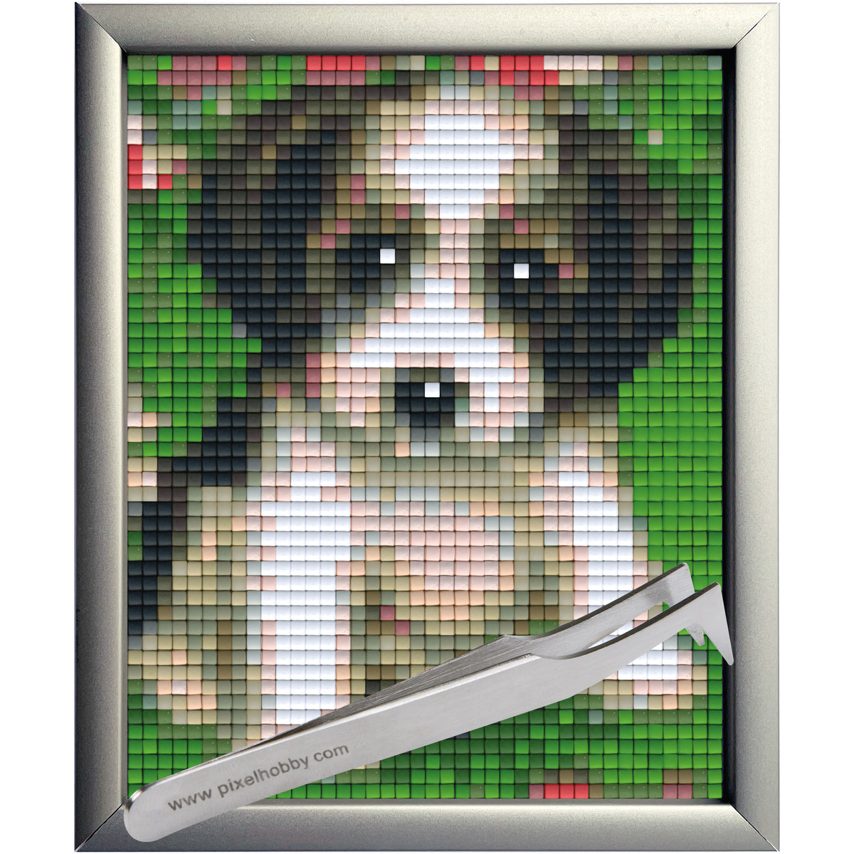 #Bilderrahmen_Aluminium silber #Pinzette_Pinzette abgewinkelt