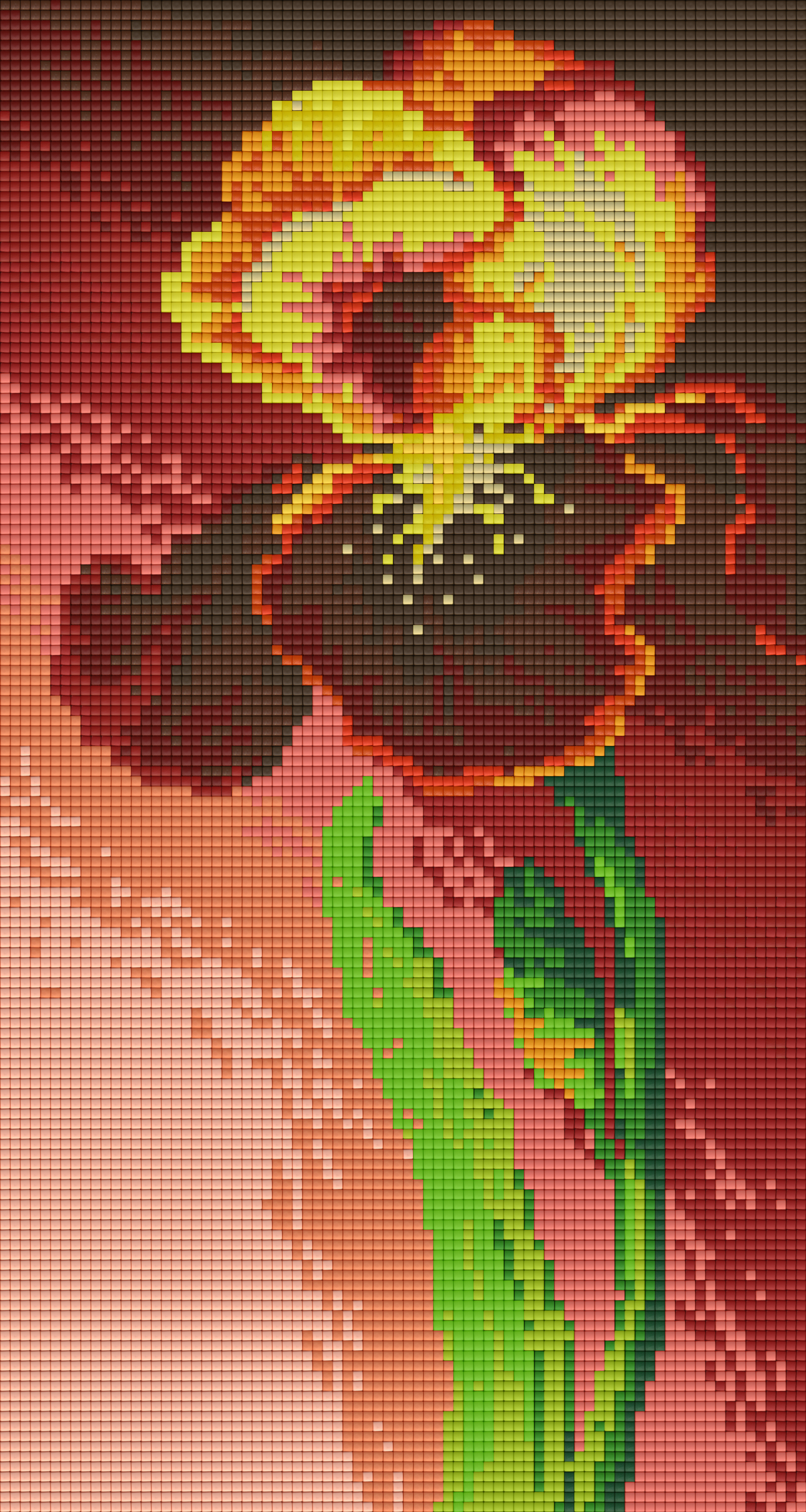Pixelhobby classic set - The fine iris