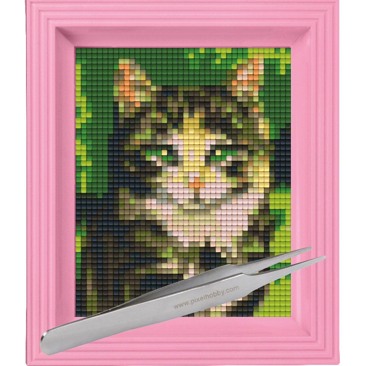 #Bilderrahmen_rosa #Pinzette_Pinzette gerade