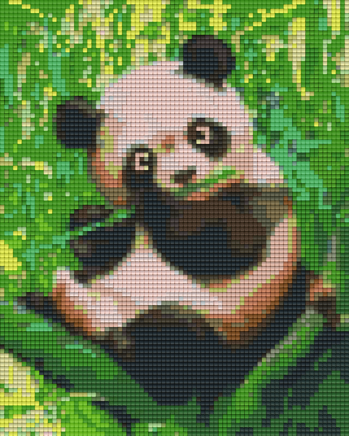 Pixelhobby Klassik Set - Panda im Regenwald