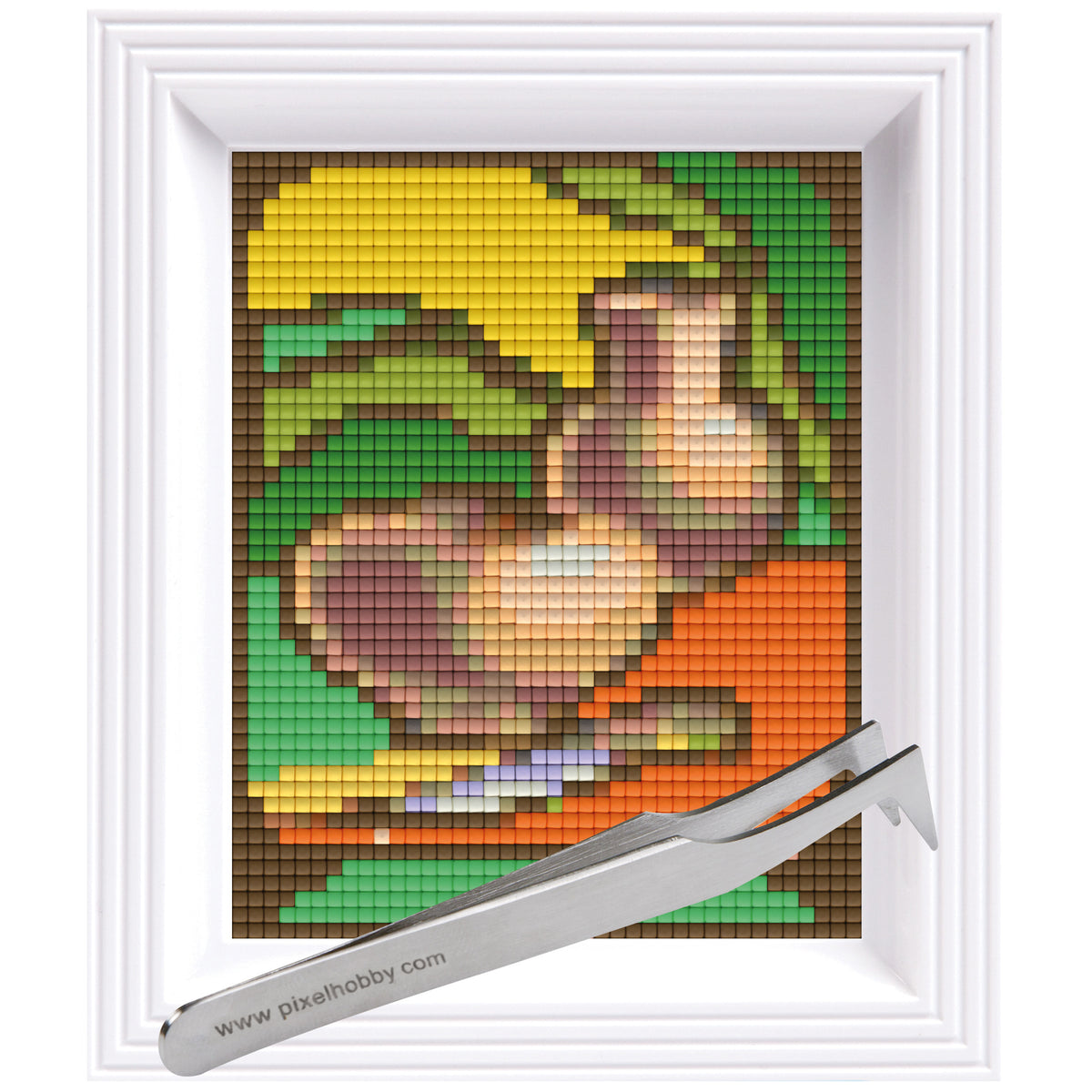 #Bilderrahmen_weiß #Pinzette_Pinzette abgewinkelt