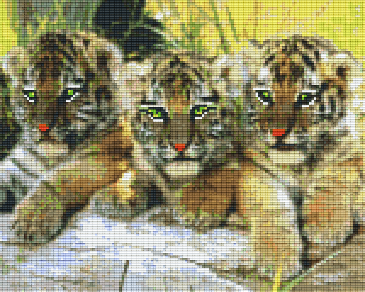 Pixelhobby Klassik Vorlage - The Furios Three