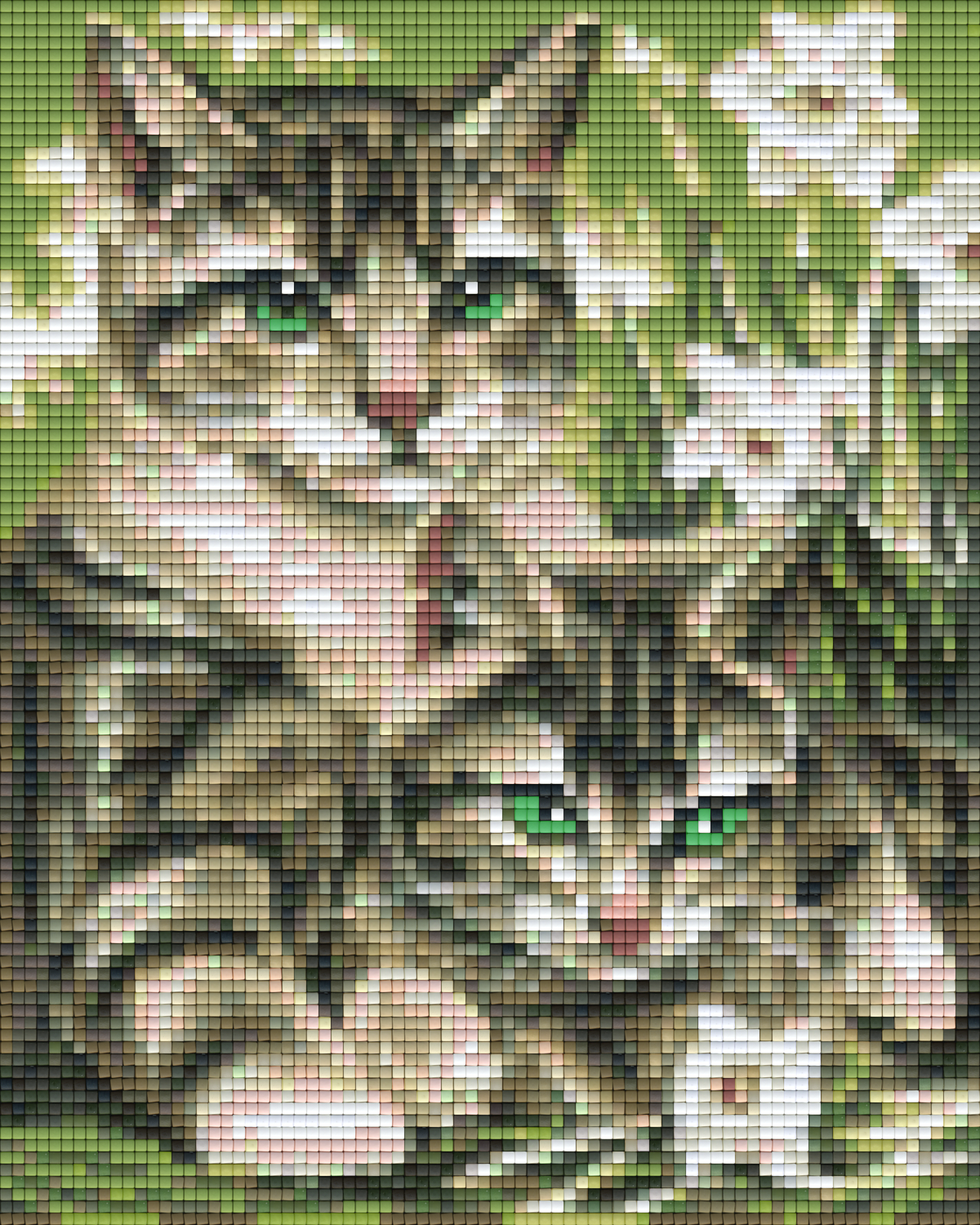 Pixelhobby Klassik Set - Green Eyes