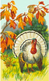 Pixelhobby Classic Set - Pretty Turkey