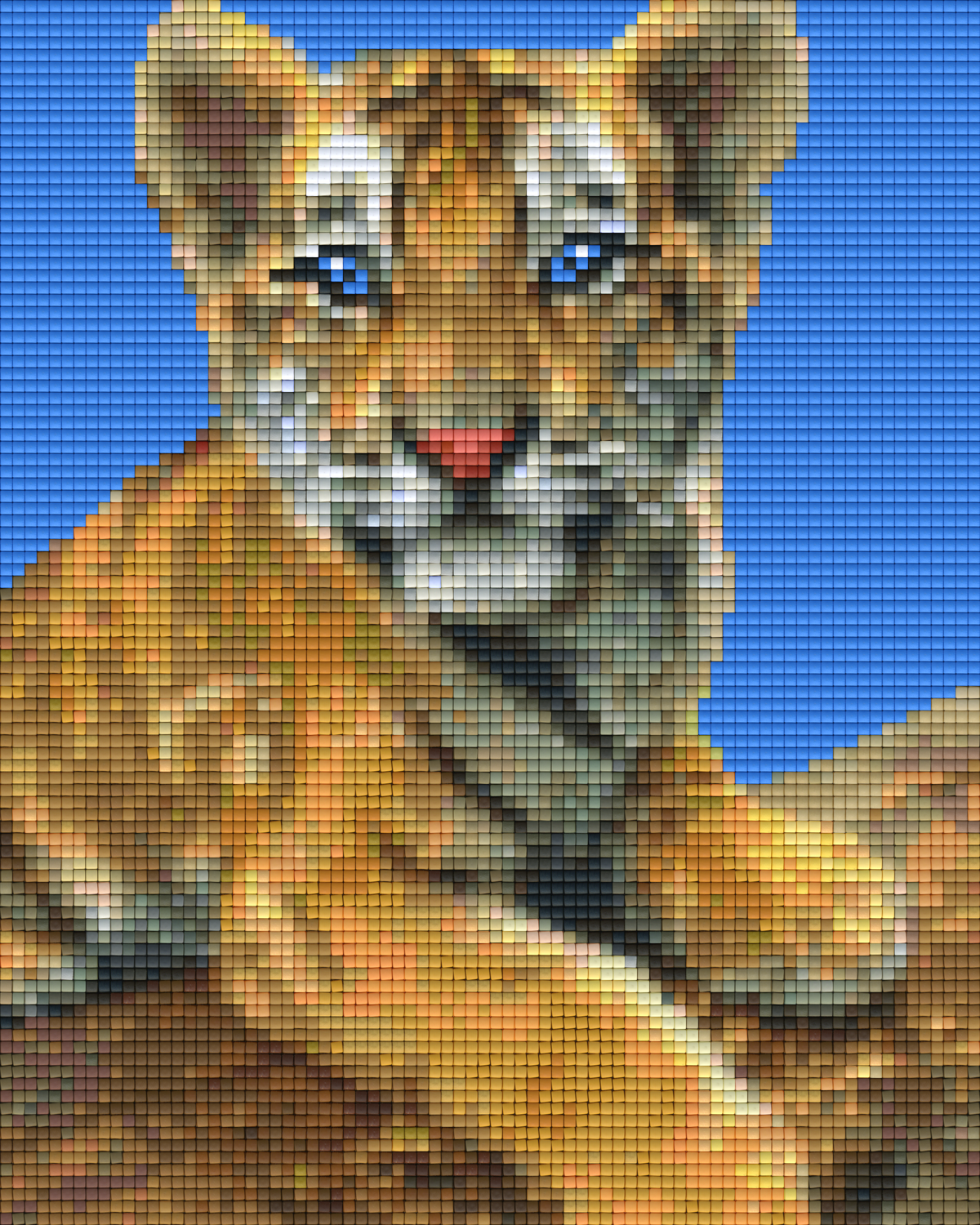 Pixel hobby classic set - The new world