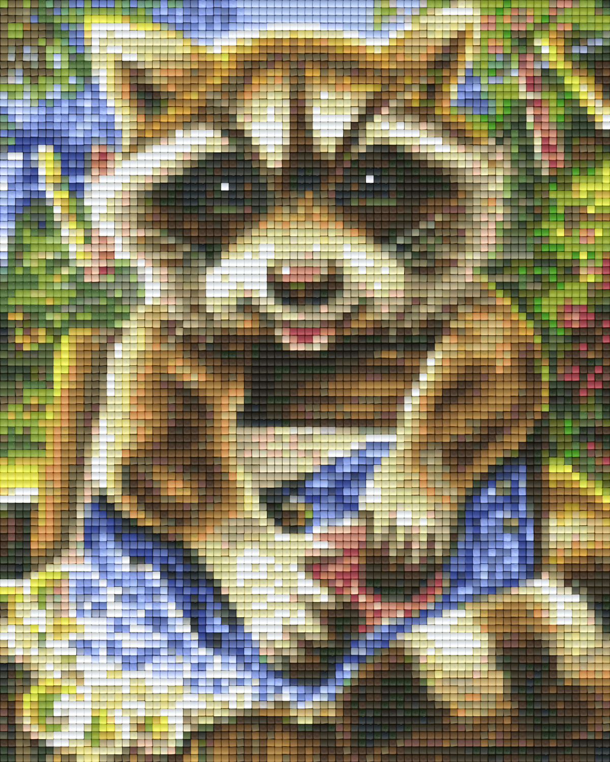Pixelhobby Klassik Vorlage - The laundry coon