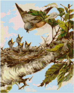 Pixelhobby Klassik Set - Die Rotkehlchen