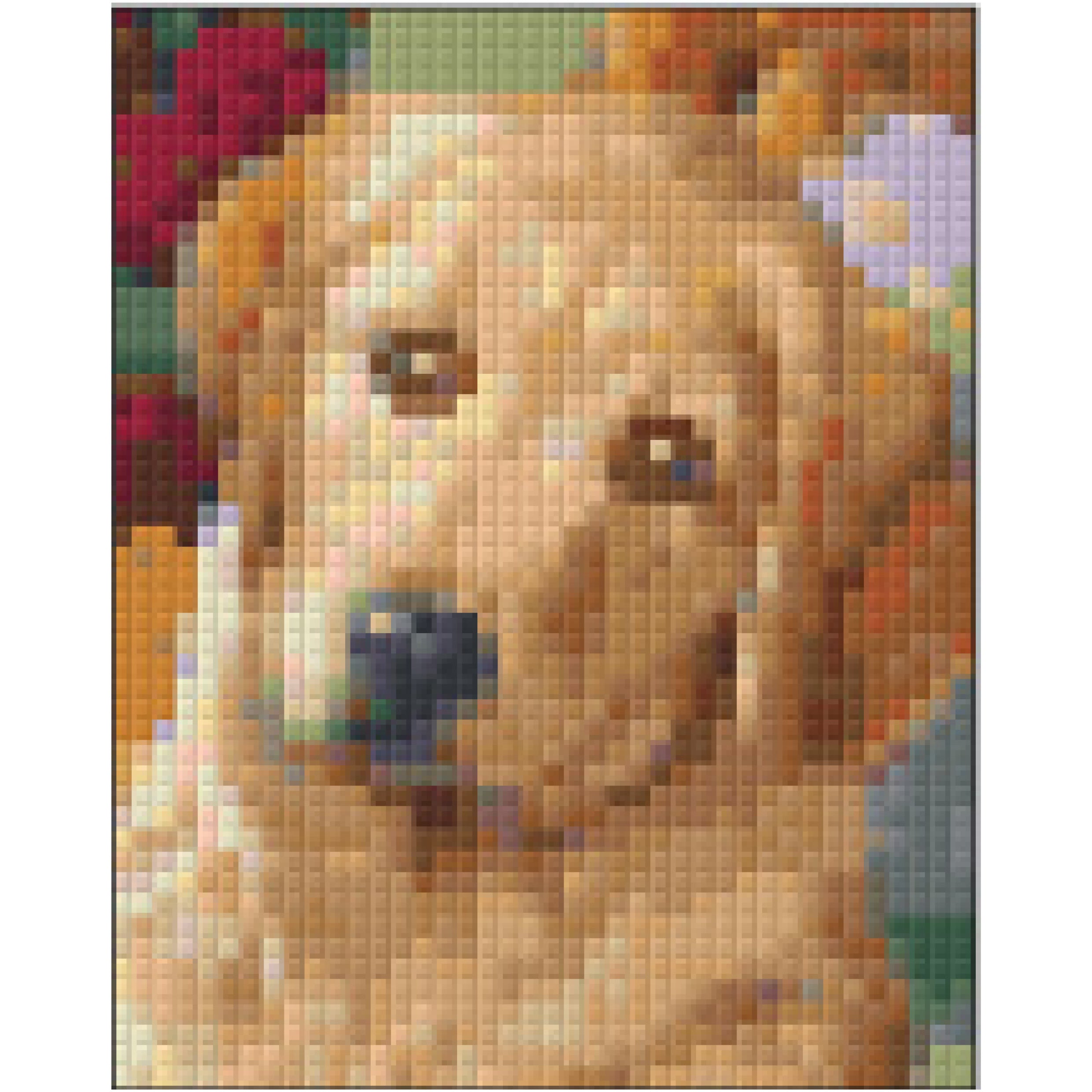 Pixelhobby Klassik Set - Golden Retriever