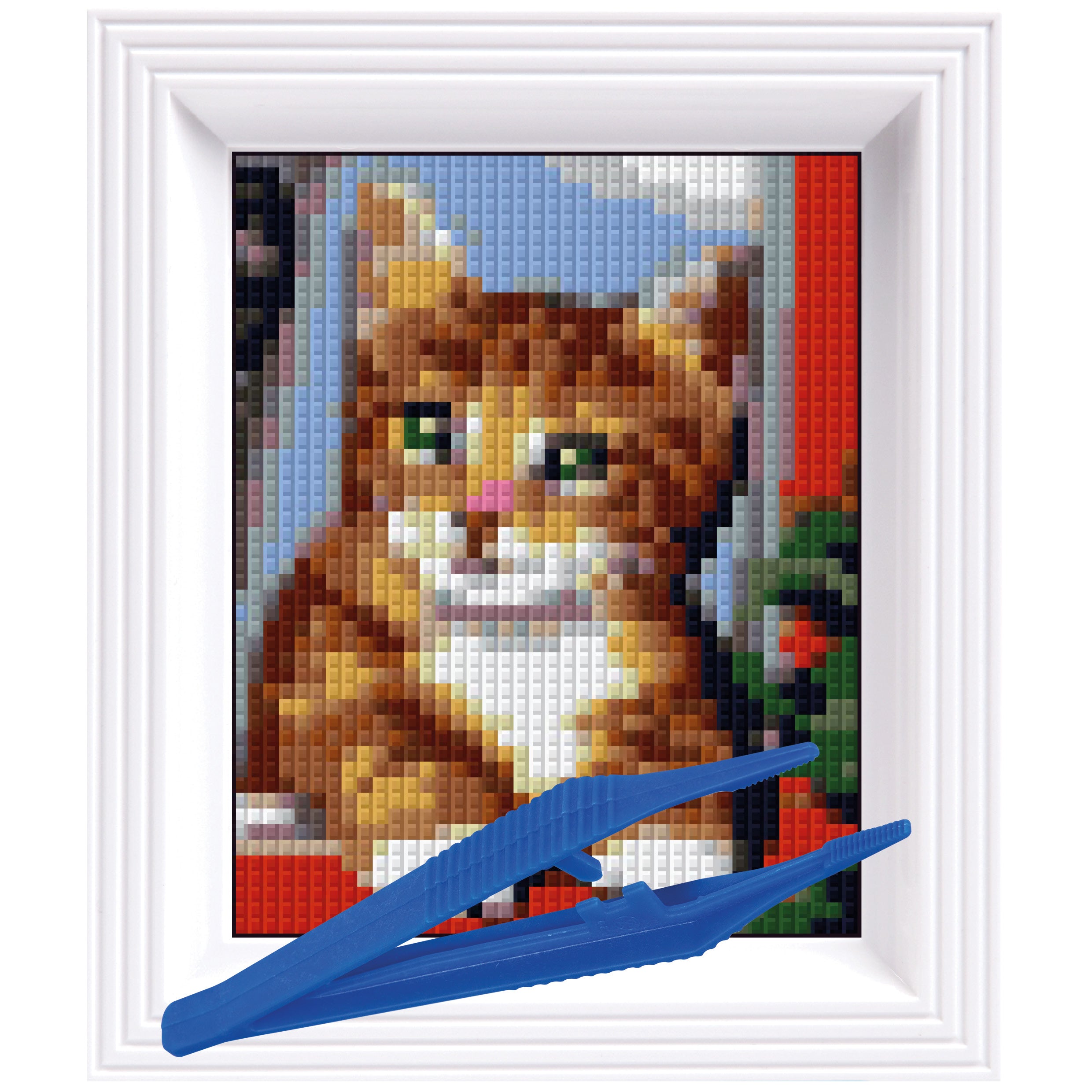 #Bilderrahmen_weiß #Pinzette_Kunststoffpinzette
