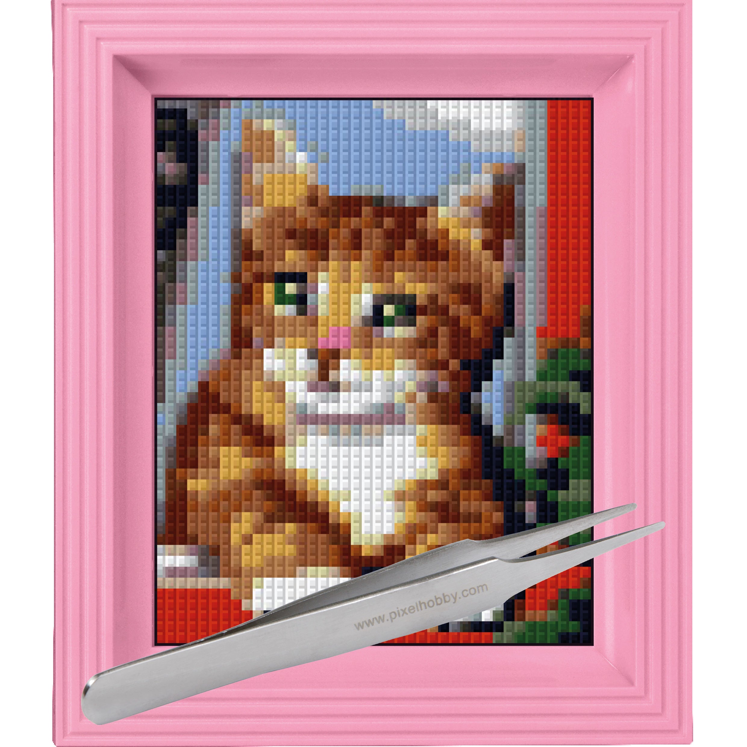 #Bilderrahmen_rosa #Pinzette_Pinzette gerade