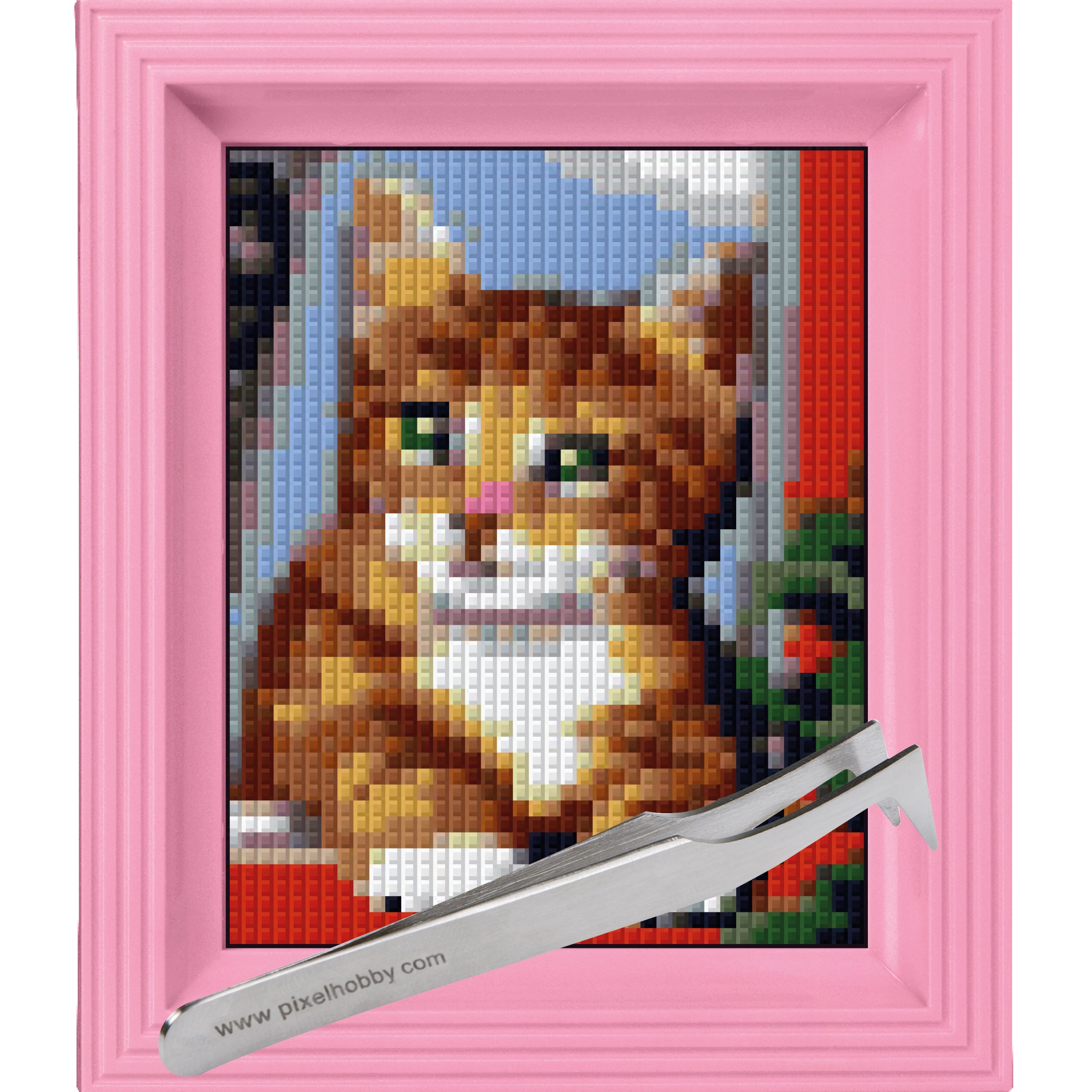 #Bilderrahmen_rosa #Pinzette_Pinzette abgewinkelt