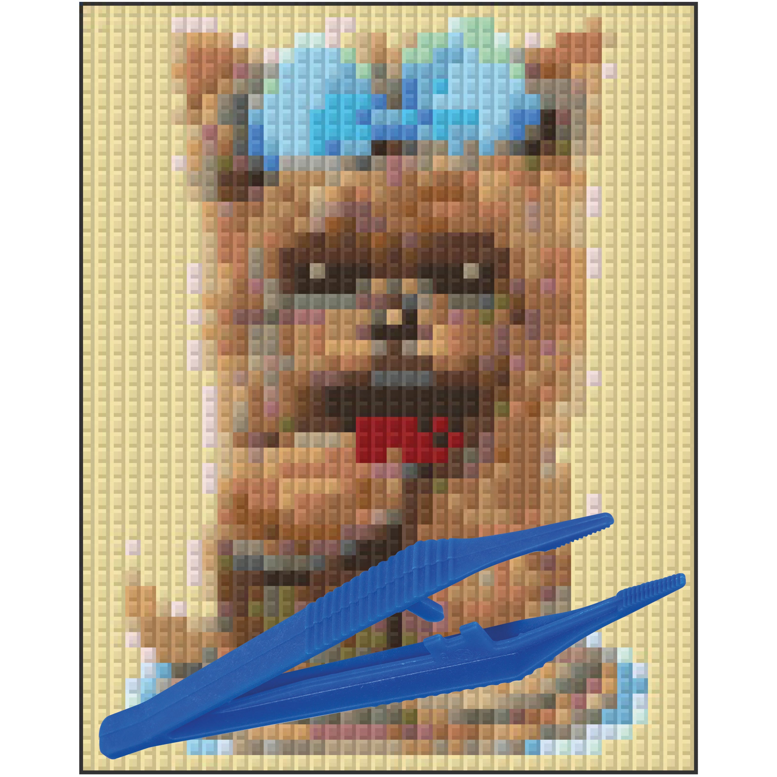 #Bilderrahmen_kein Rahmen #Pinzette_Kunststoffpinzette