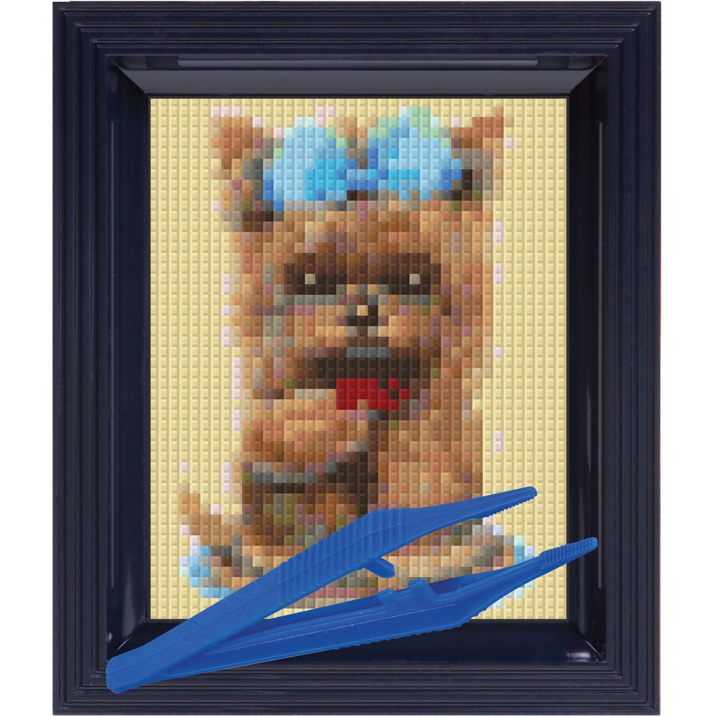 #Bilderrahmen_schwarzblau #Pinzette_Kunststoffpinzette