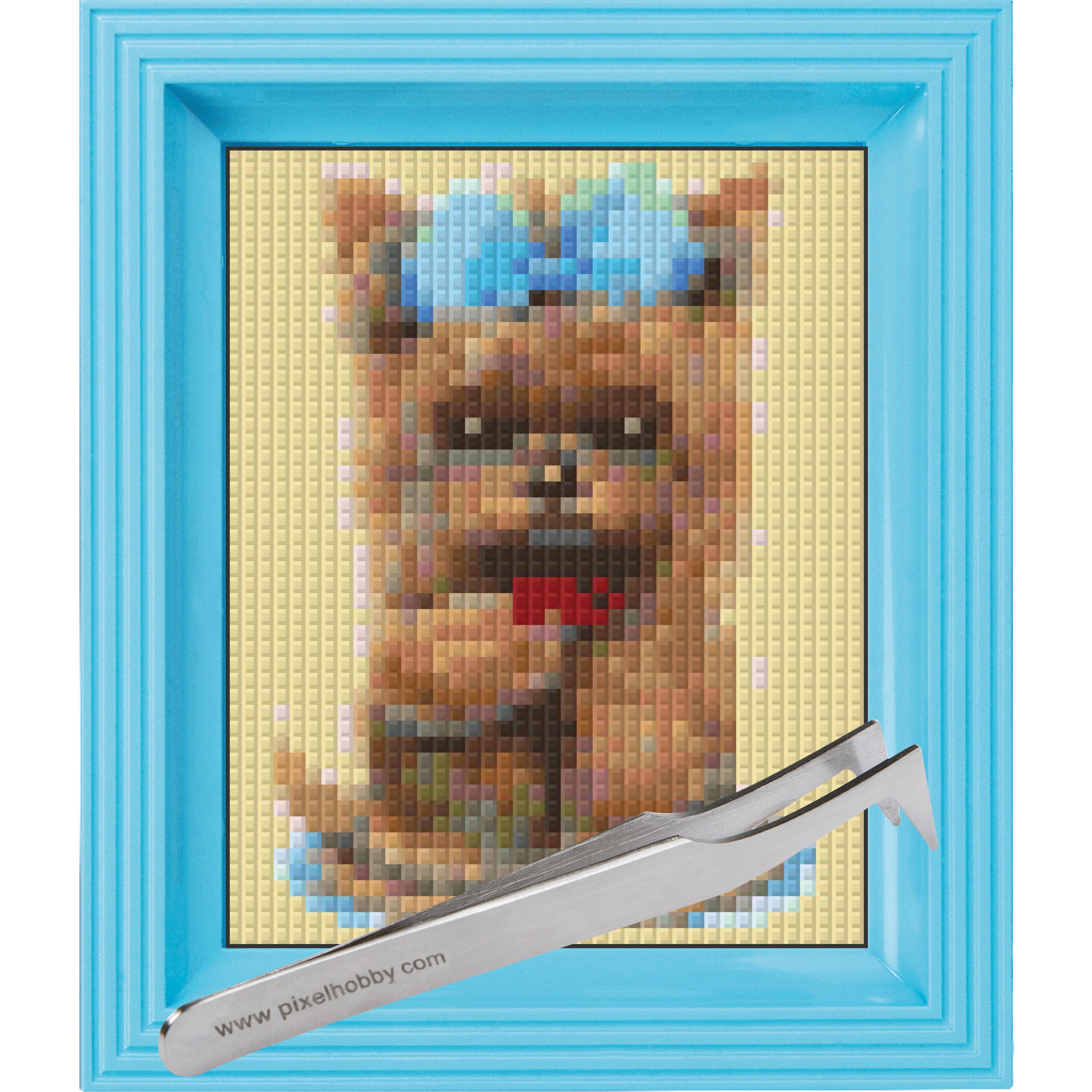 #Bilderrahmen_baby blau #Pinzette_Pinzette abgewinkelt
