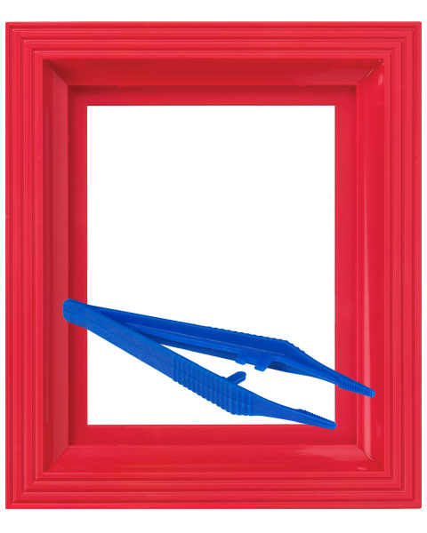 #Bilderrahmen_rosarot #Pinzette_Kunststoffpinzette
