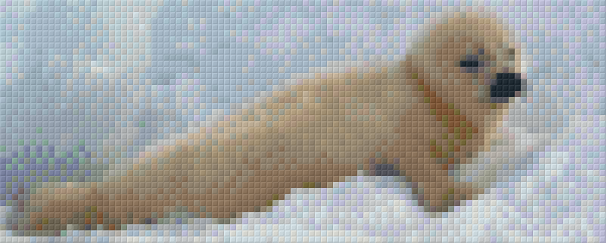 Pixel hobby classic template - baby sea lion