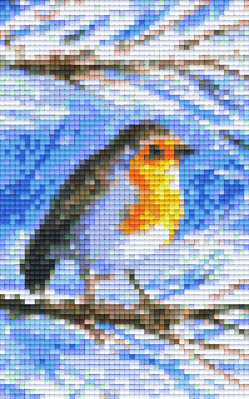 Pixelhobby Klassik Set - Rotkehlchen