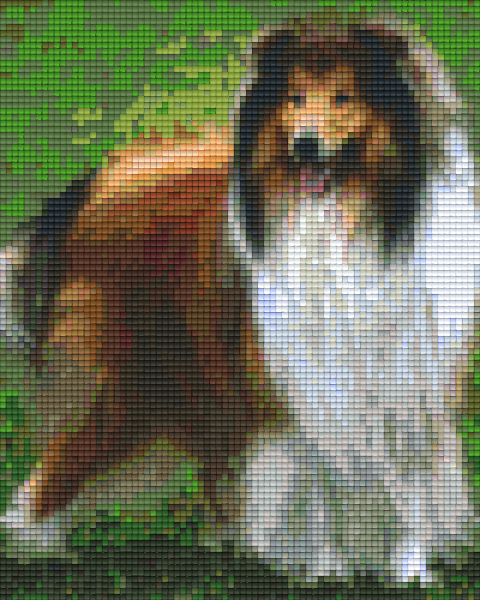 Pixelhobby Klassik Vorlage - Collie