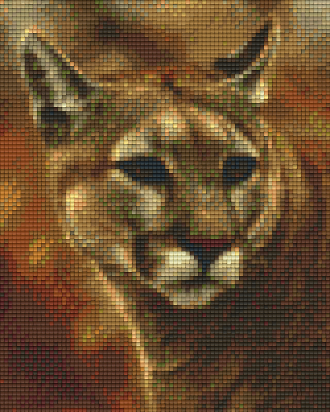 Pixelhobby Klassik Set - Puma