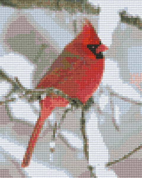 Pixelhobby Klassik Set - Kardinal im Schnee
