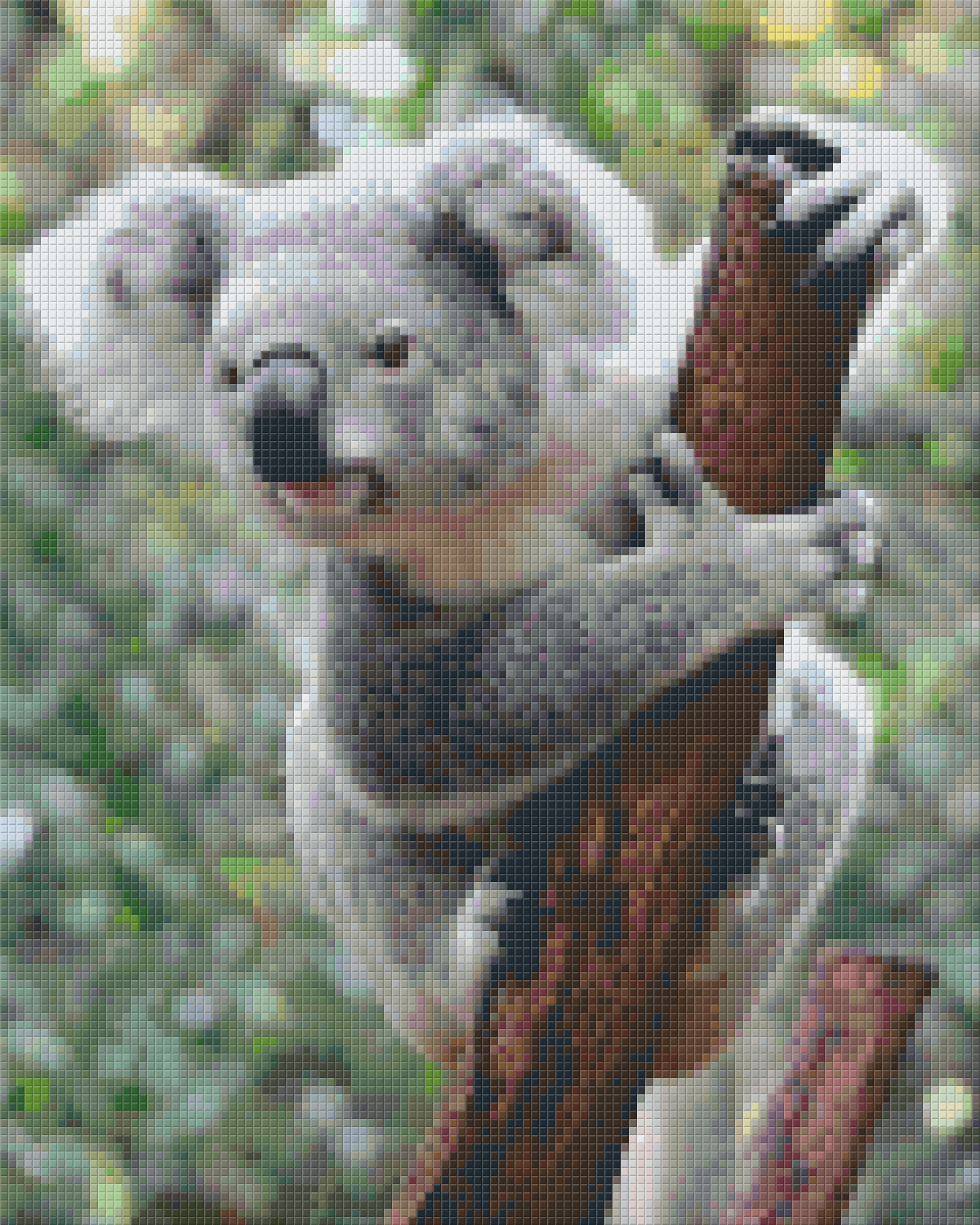 Pixelhobby Klassik Set - Koala