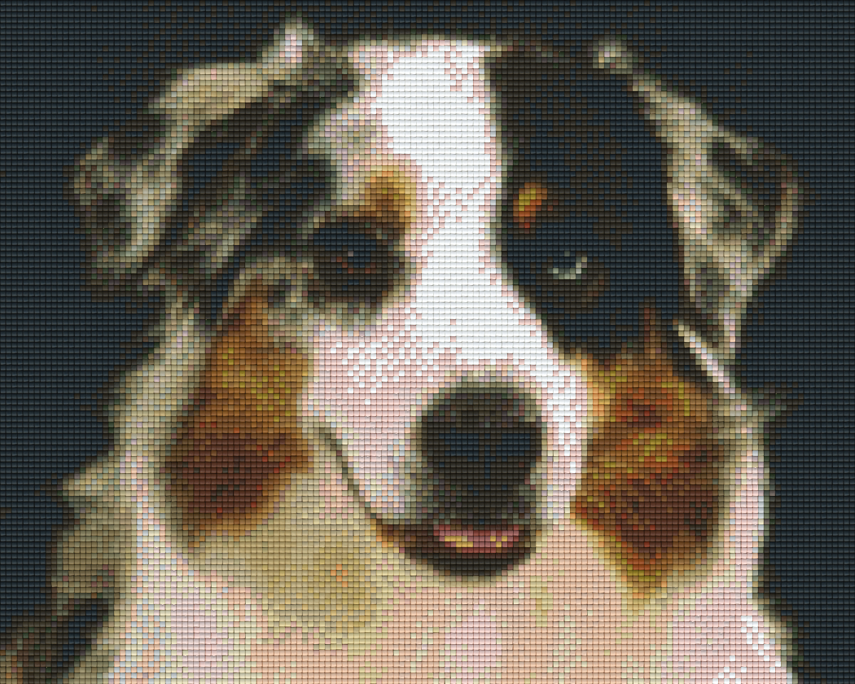 Pixelhobby Klassik Set - Australian Shepherd