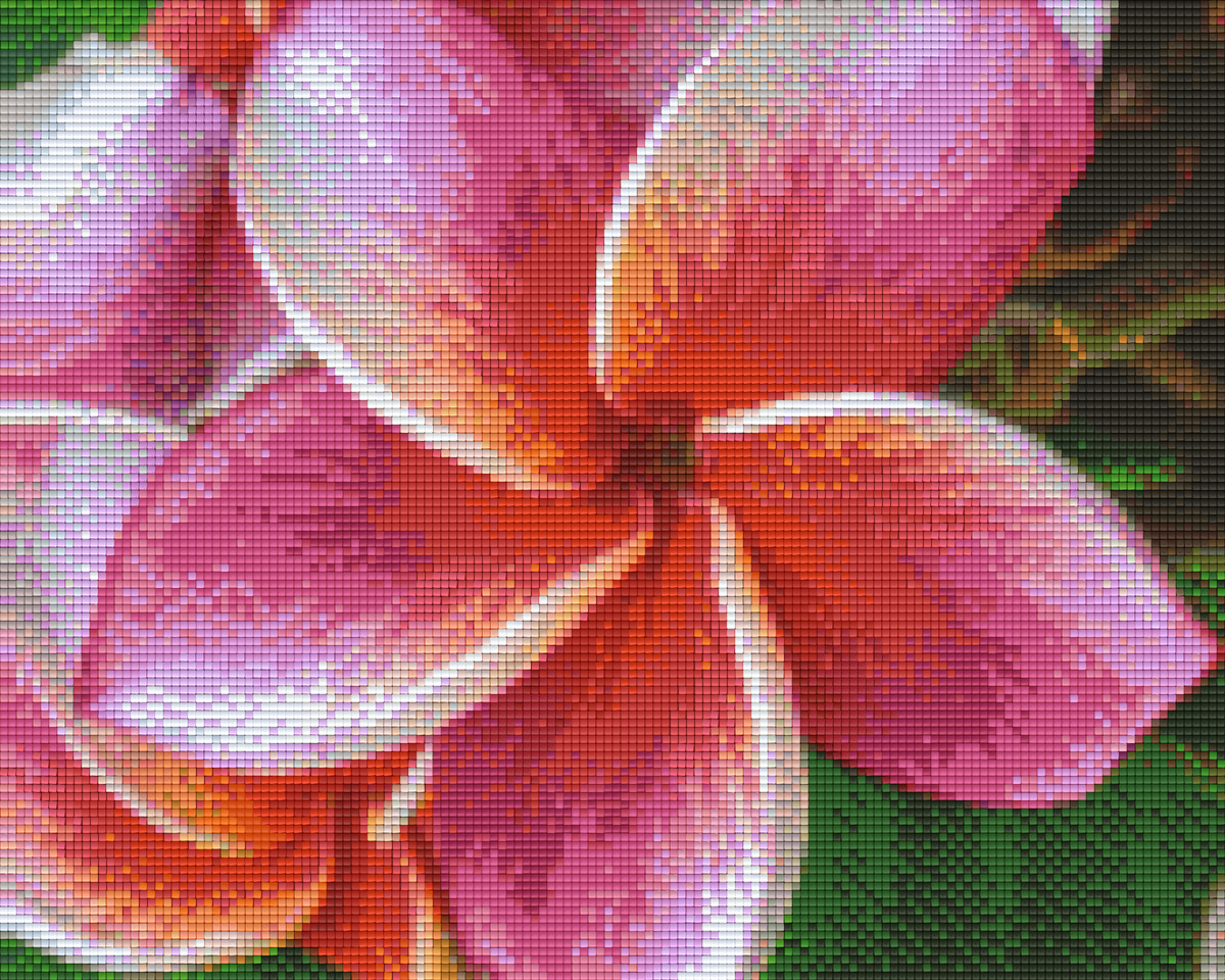 Pixel hobby classic template - frangipani
