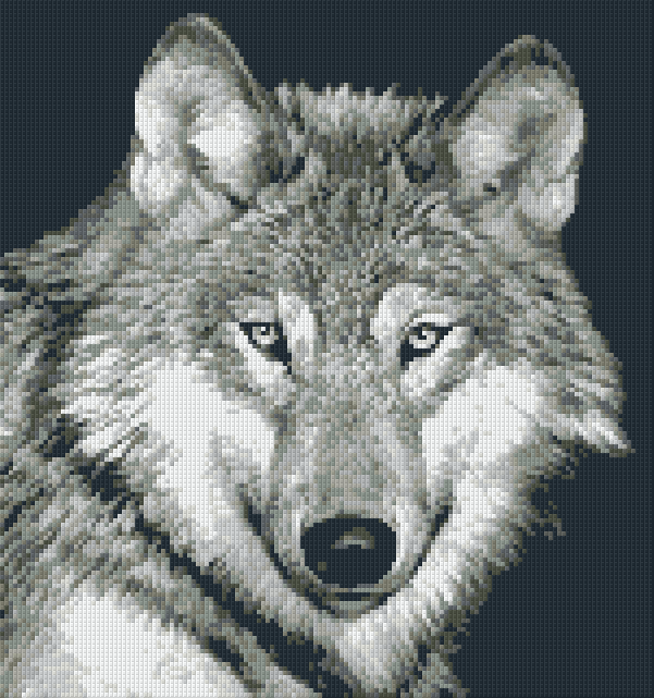 Pixelhobby Klassik Set - Wolf Nahaufnahme