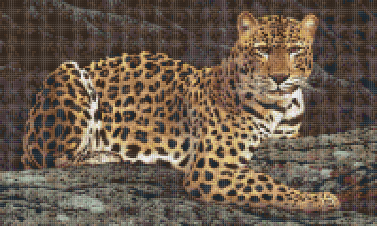 Pixelhobby Klassik Vorlage - Leopard