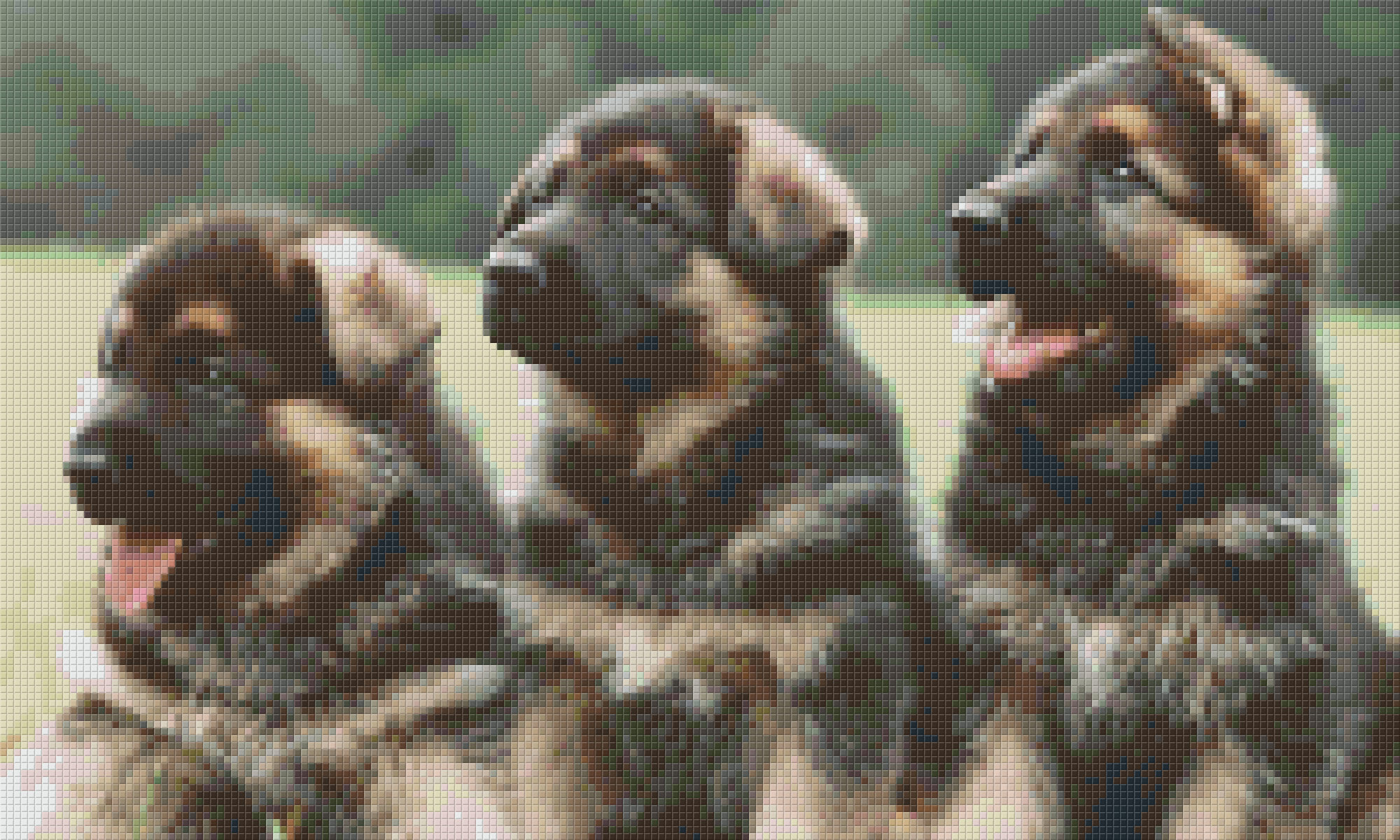 Pixelhobby Klassik Set - Drei Schäferhundwelpen