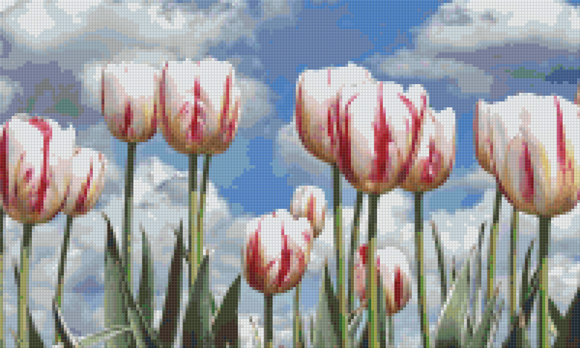 Pixelhobby Klassik Set - Weiß-rote Tulpen