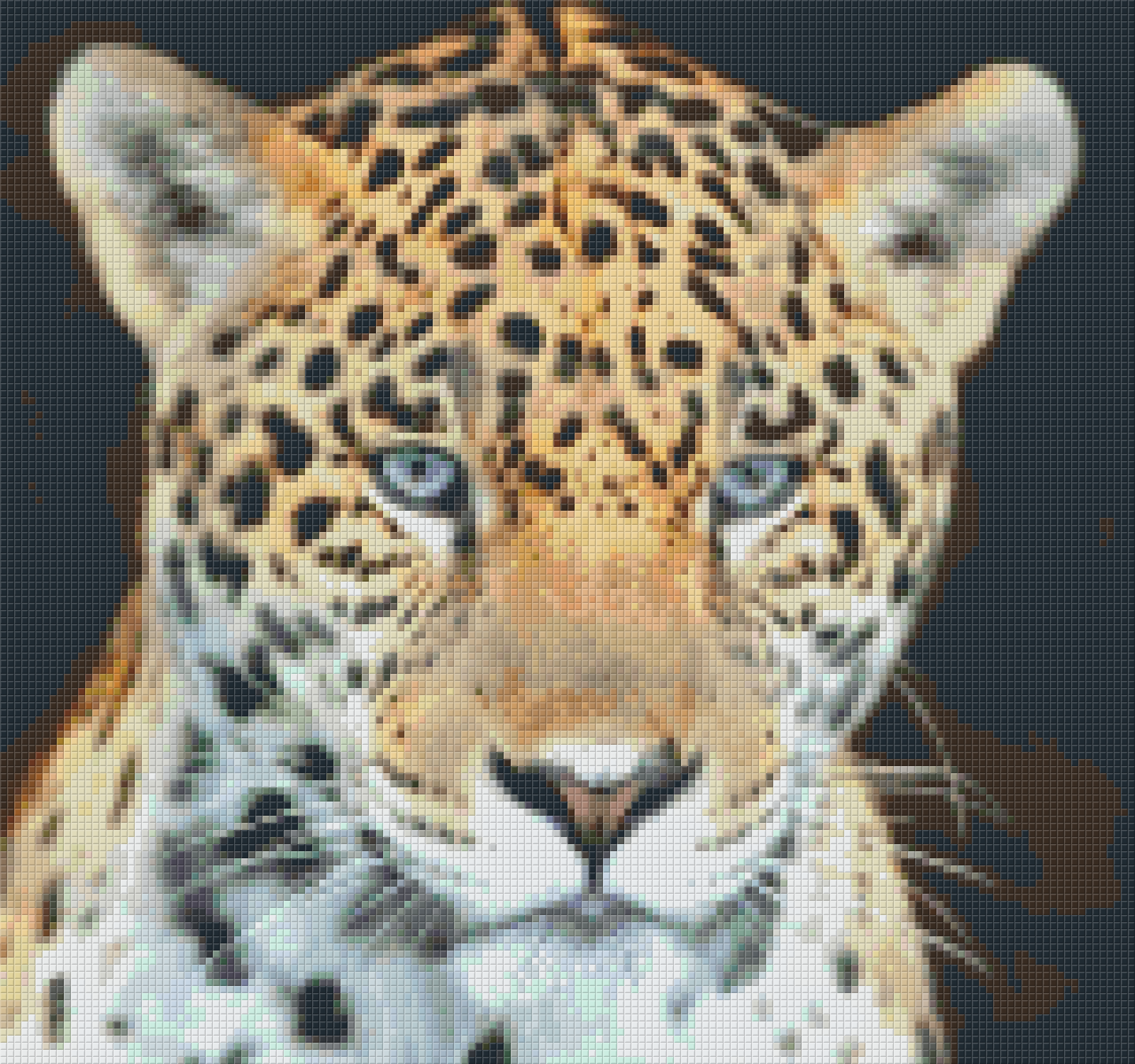 Pixelhobby Klassik Set - Jaguar