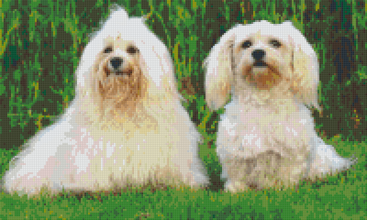 Pixelhobby Klassik Set - Zwei Hundefreunde