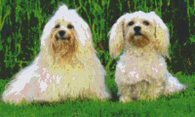 Pixelhobby Klassik Set - Zwei Hundefreunde