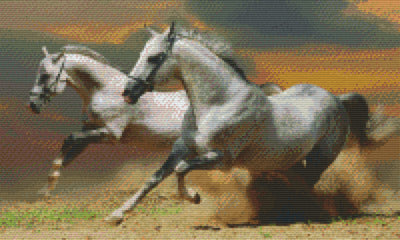 Pixelhobby Klassik Set - Zwei galoppierende Pferde