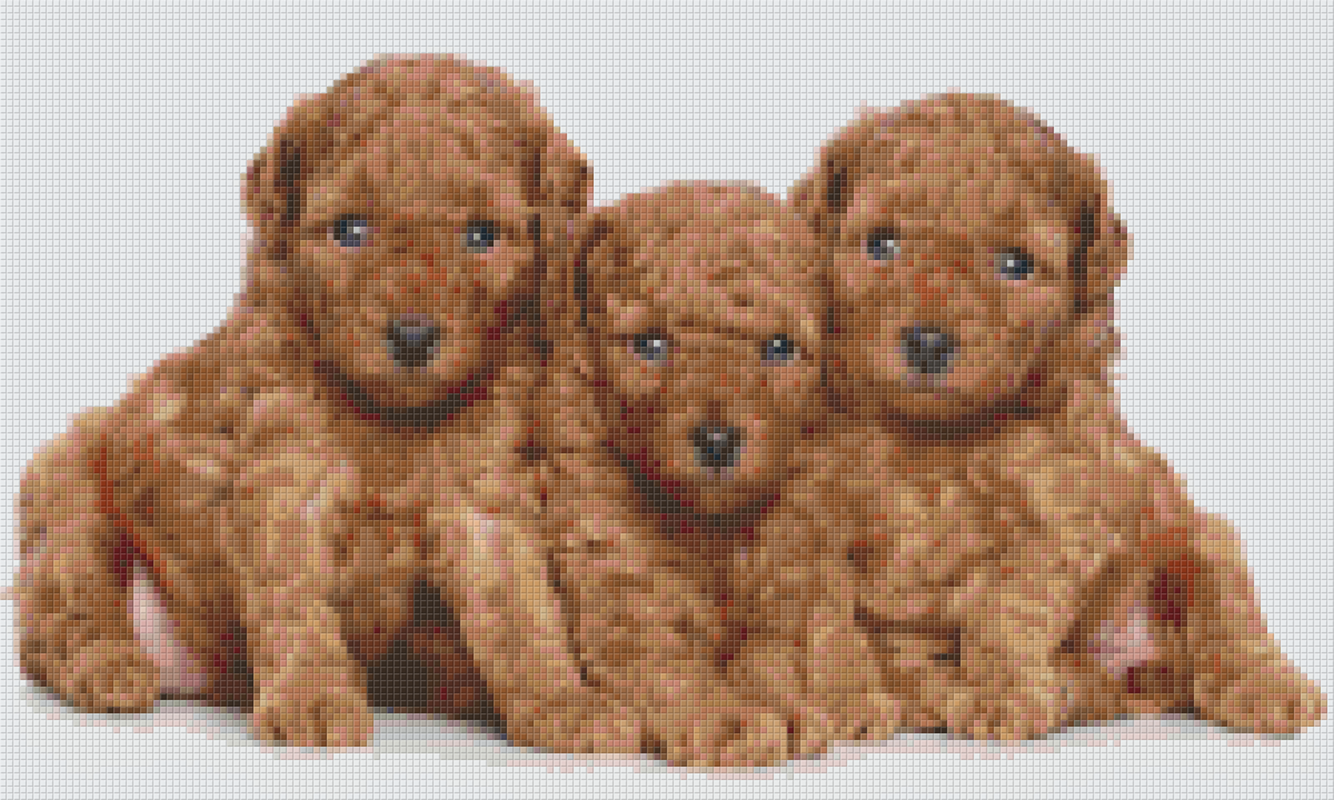 Pixelhobby Klassik Set - Drei Pudelwelpen