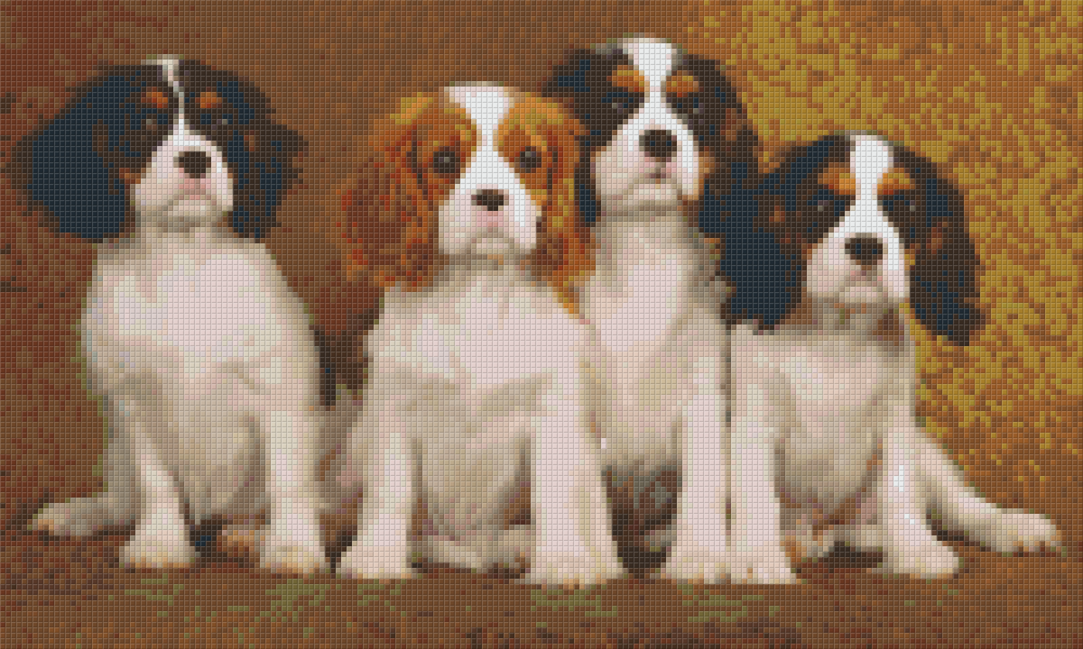 Pixelhobby Klassik Set - Vier Cavalier King Charles