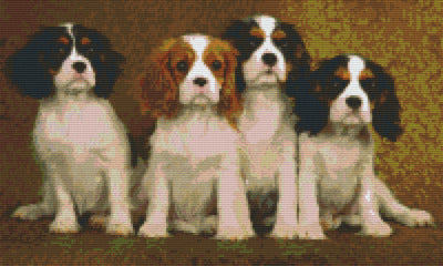 Pixelhobby Klassik Set - Vier Cavalier King Charles